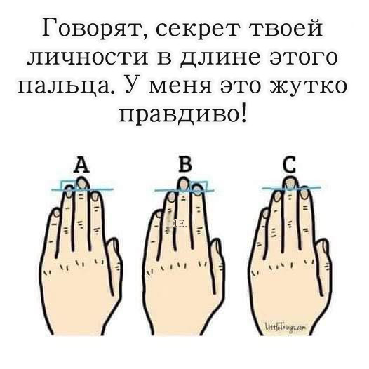 Говорят, секрет вашей личности — в длине этого пальца.