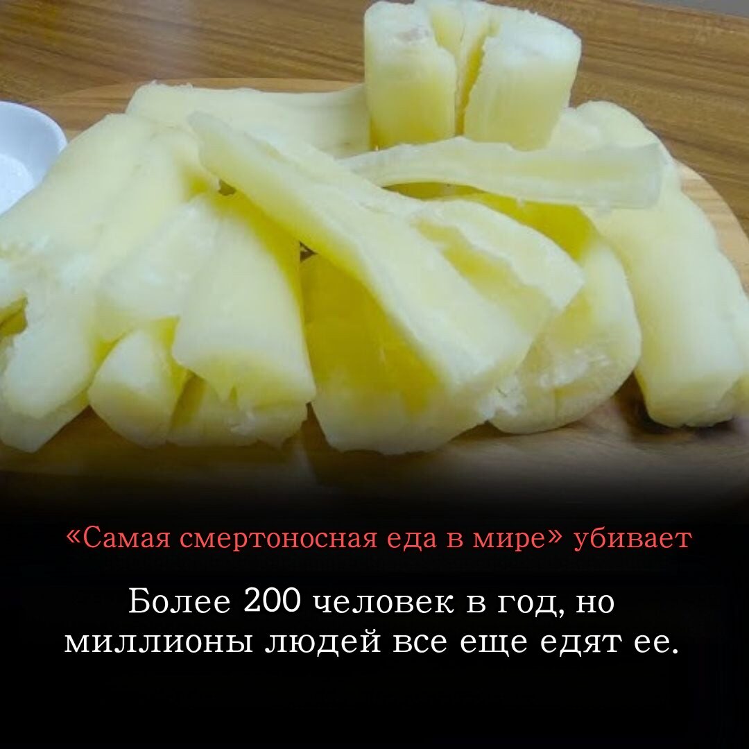 Ежегодно более 200 человек умирают от употребления в пищу того, что известно как «самая смертоносная еда в мире», однако её всё ещё едят почти 500 миллионов человек.