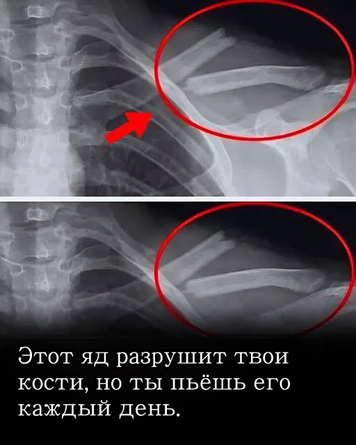 Люди постоянно едят и пьют нездоровую пищу.