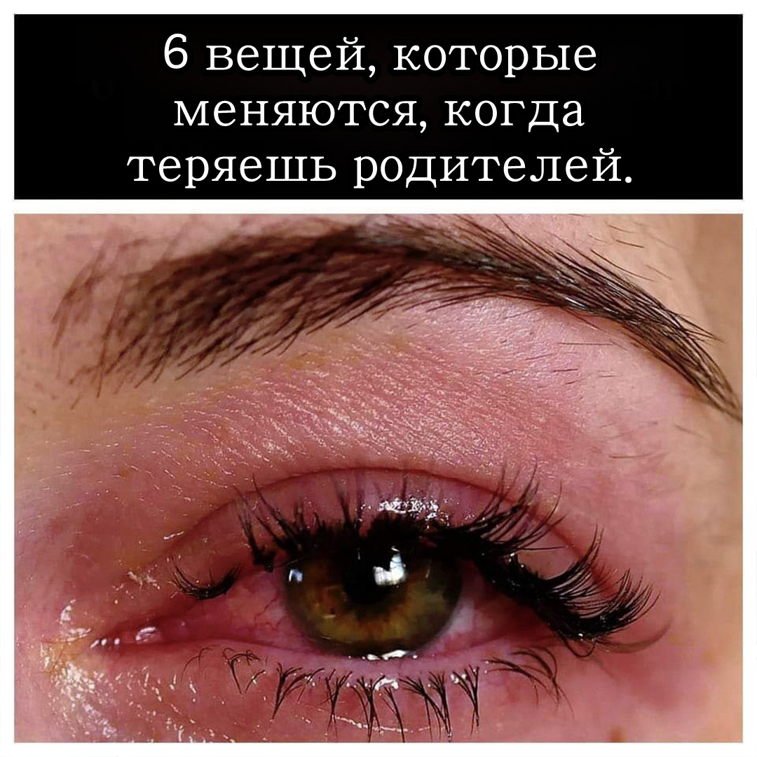 Можно ли действительно подготовиться к жизни без тех, кто дал нам жизнь?