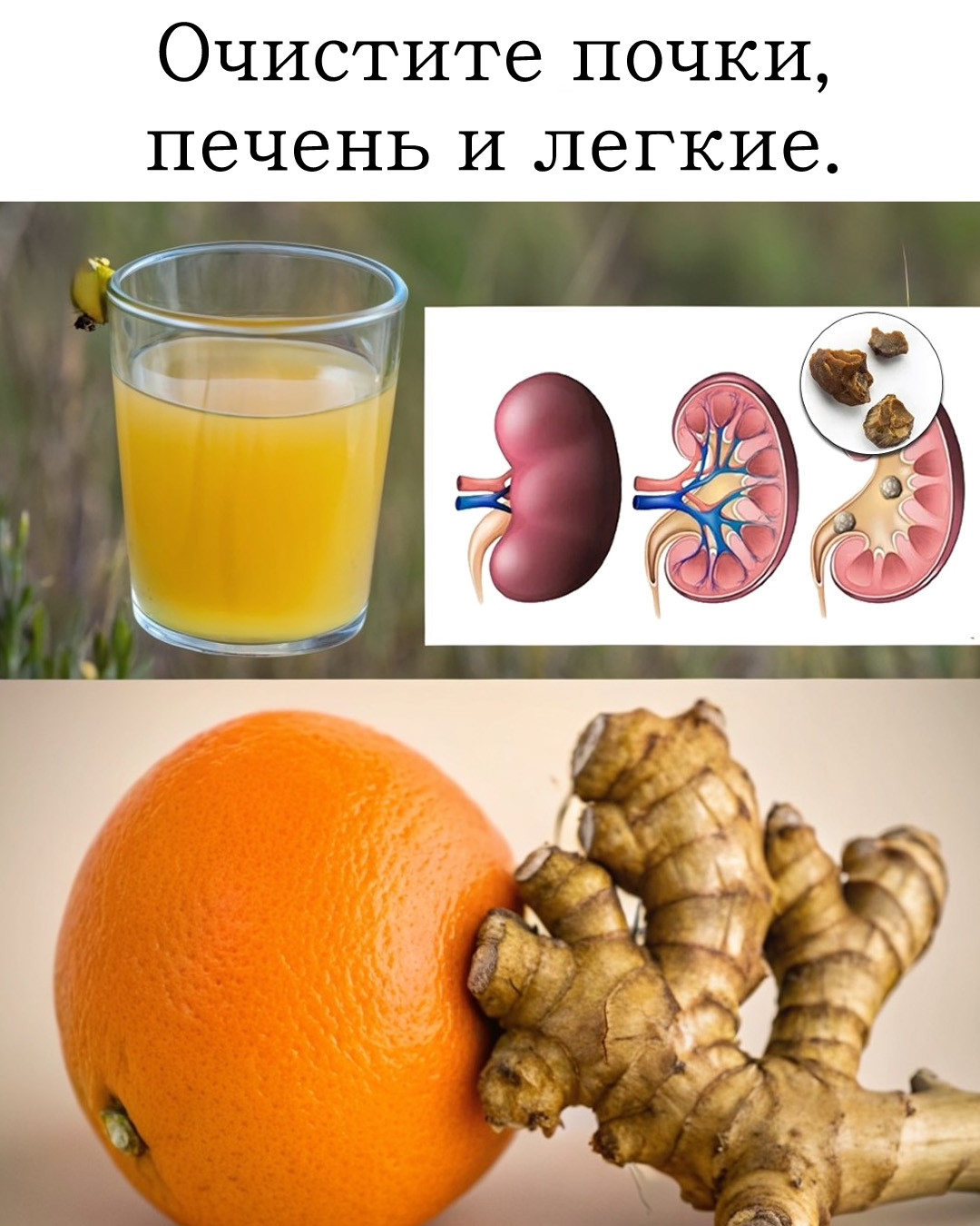 Естественно очистите ваши почки
