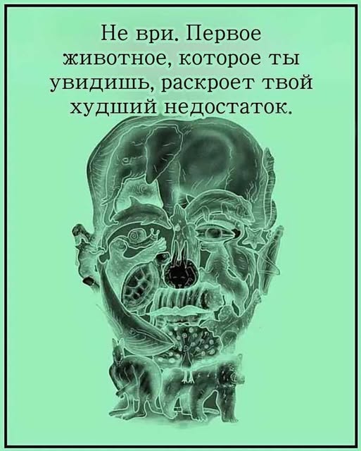 Main Article Image