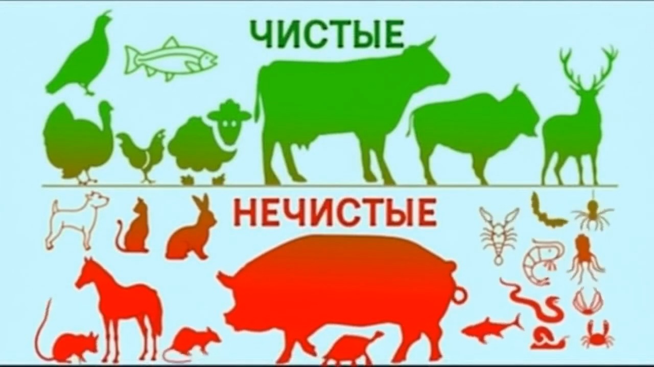 Main Article Image