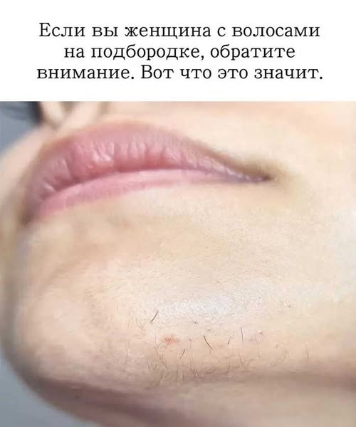Main Article Image