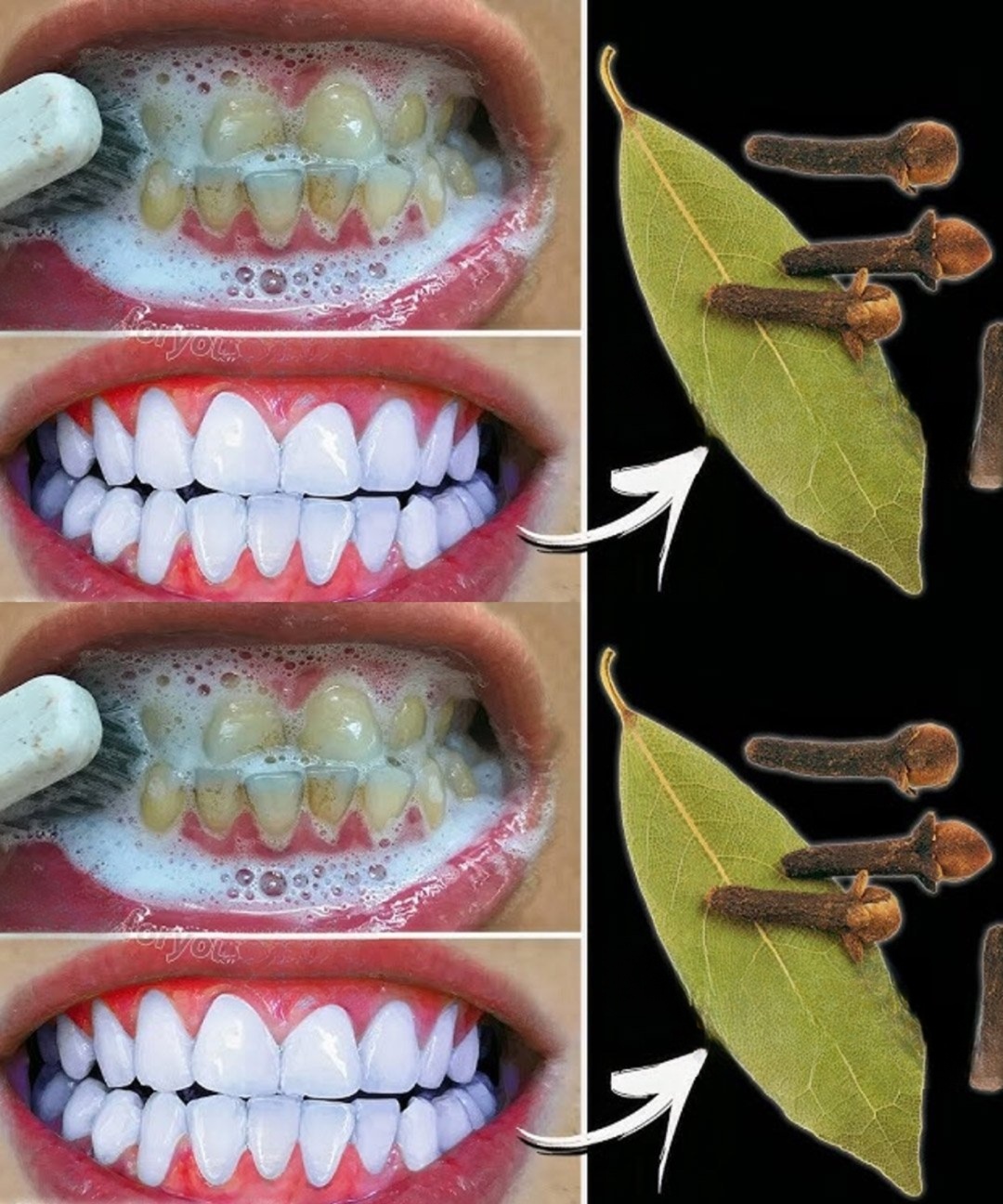 Article Image 1