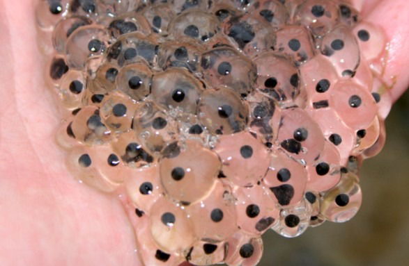 Article Image 2
