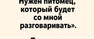Женщина купила попугая, чтобы не чувствовать себя одинокой — и уже на следующий день вернулась в магазин