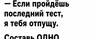 Полицейский дал пьяному водителю последний тест на трезвость