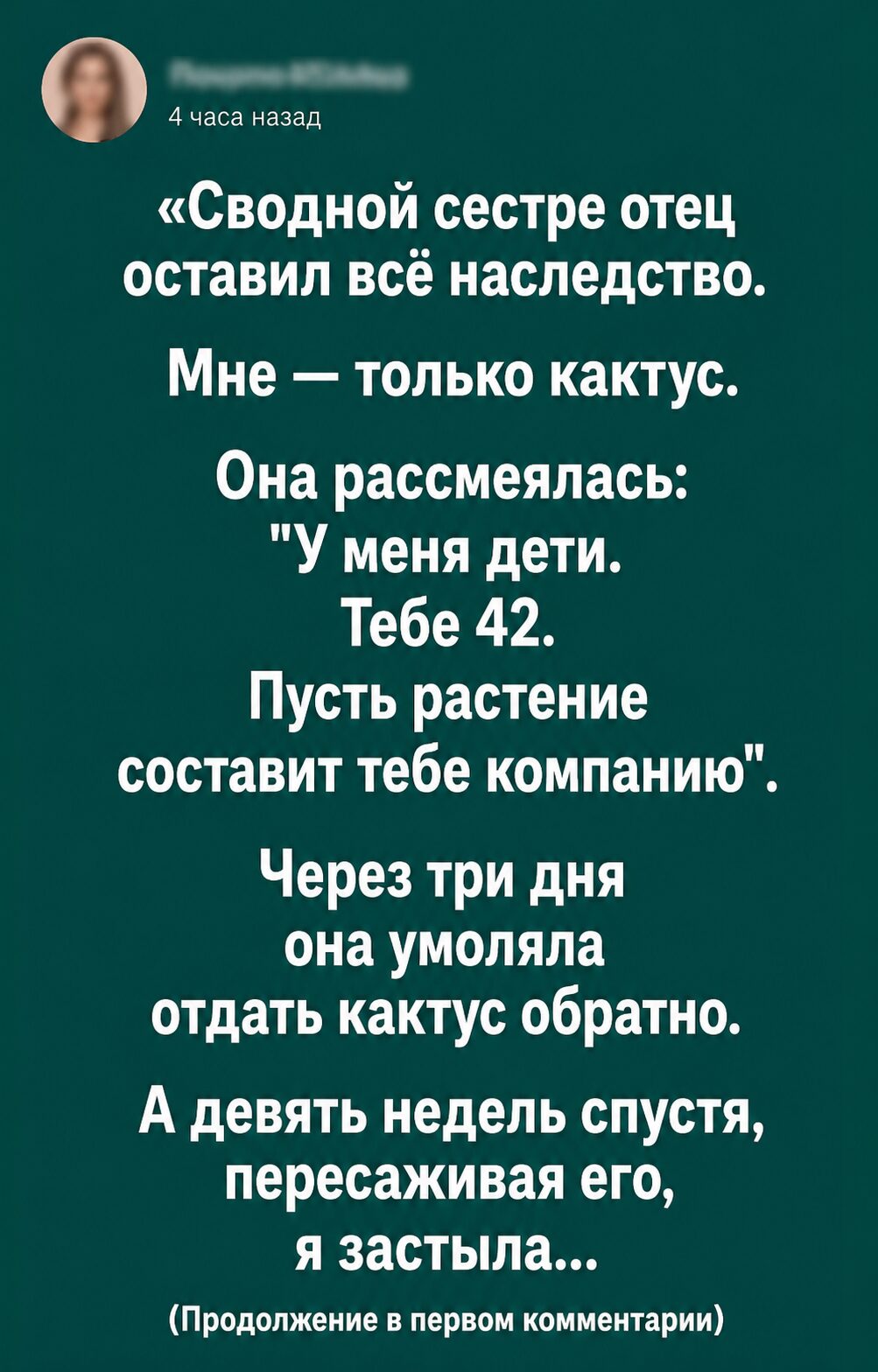 Сводной сестре досталось всё наследство, а мне — только кактус