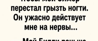Две пожилые дамы спорили о странной привычке мужей