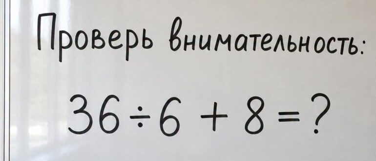 Сколько будет 36 ÷ 6 + 8: простая задача, на которой многие спешат