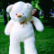 /html/body/div/div[1]/div/div[3]/div[8]/div/div[2]/section/div/div[2]/article/div/div/div[1]/a/img