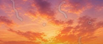 codex-handoff:cgh-4443242bc3540e6309bdbbc5