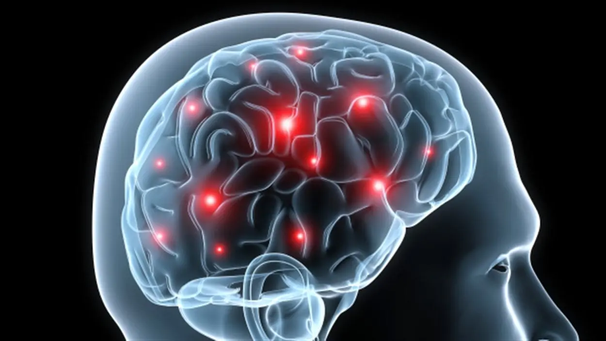 /html/body/article/div[3]/p[2]/picture/source/img