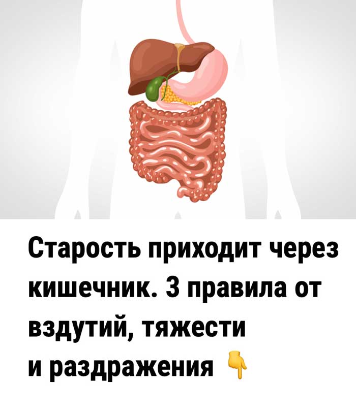 /html/body/article/div/p[1]/img