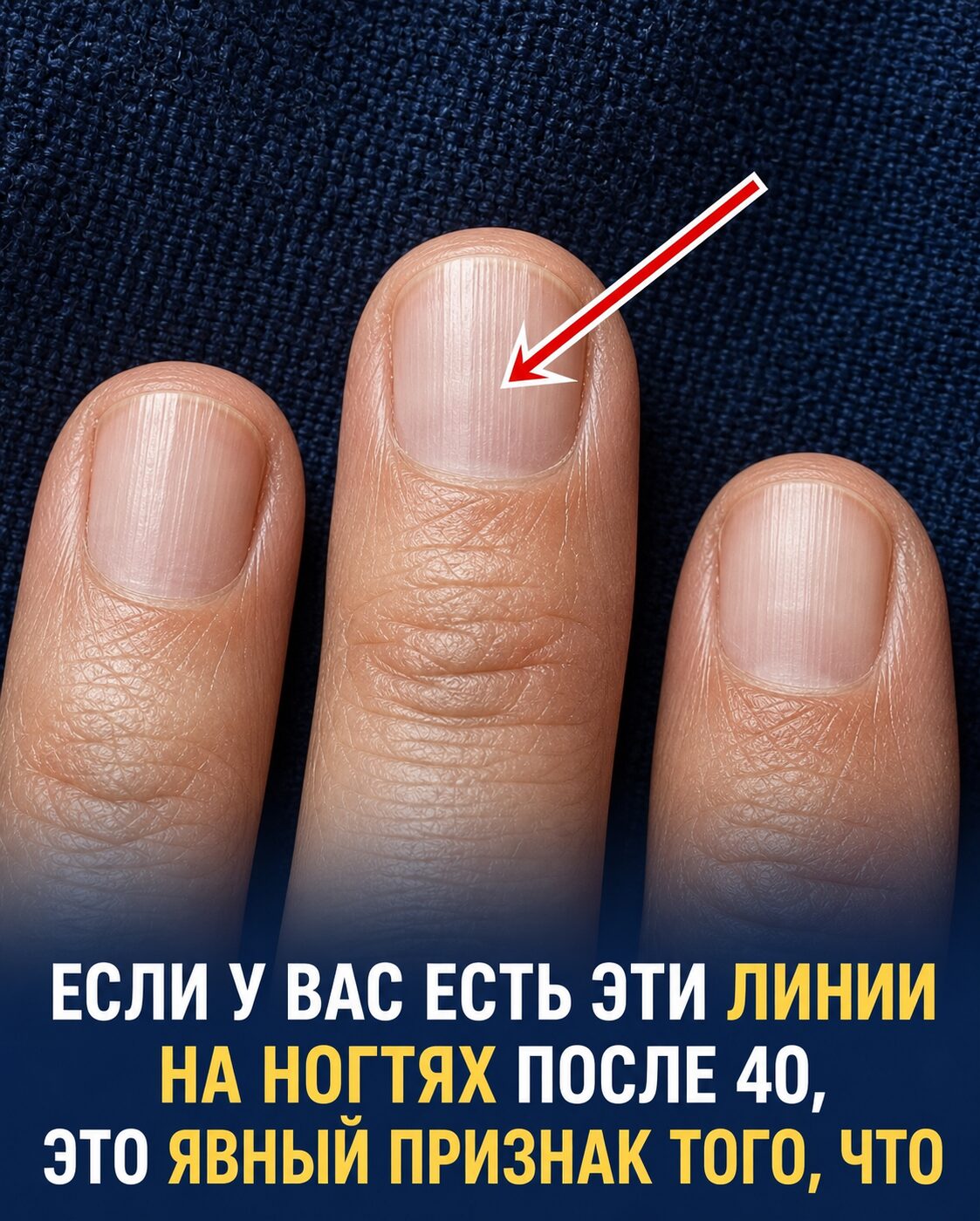 codex-handoff:cgh-95f587580a98a5114d3cac07