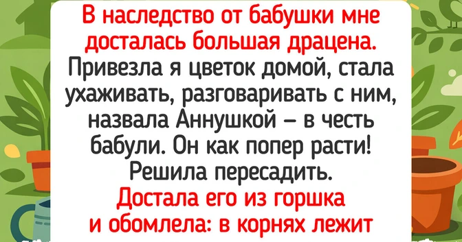 /html/body/div/section[2]/div[2]/article[1]/a[2]/picture/source/source/img