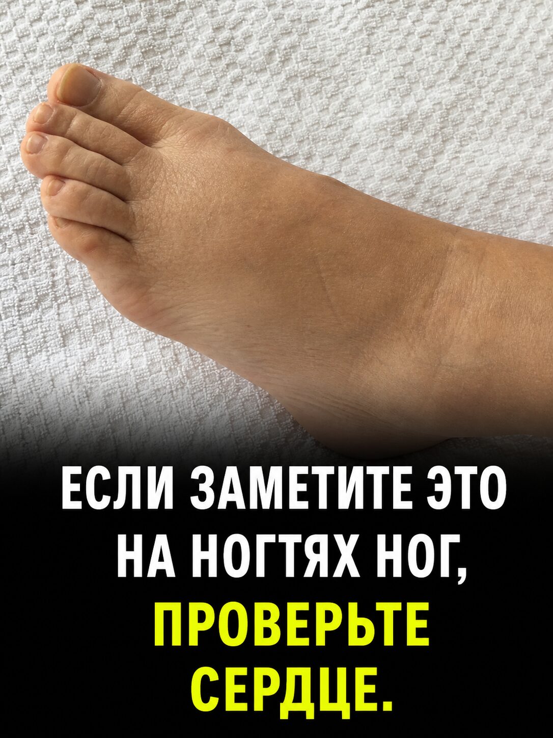 codex-handoff:cgh-8a0505de939563fa35aea76c